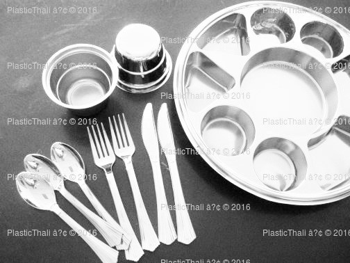 https://www.plasticthali.com/myPictures/silver-nine-compartment-plate-collection.jpg